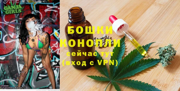 твердый Бронницы