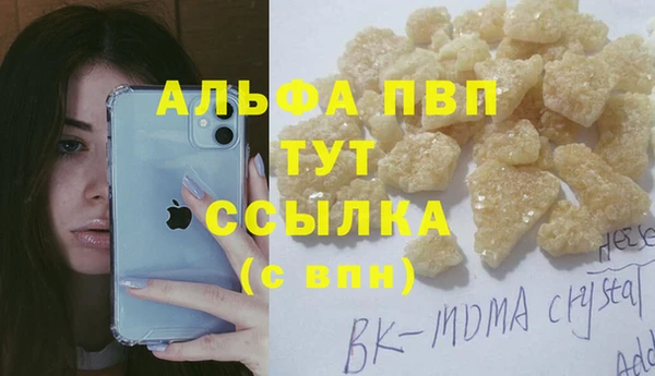 ГАЛЛЮЦИНОГЕННЫЕ ГРИБЫ Бородино