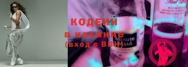 ГАЛЛЮЦИНОГЕННЫЕ ГРИБЫ Бородино