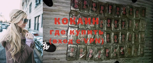дживик Богданович