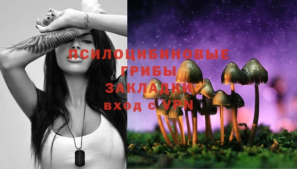 гидропоника Богородицк