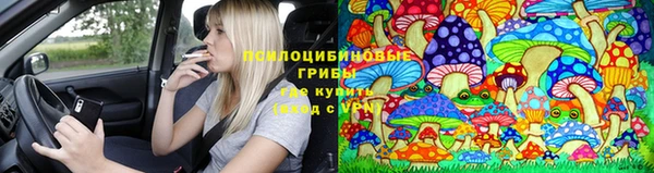 скорость Богородск