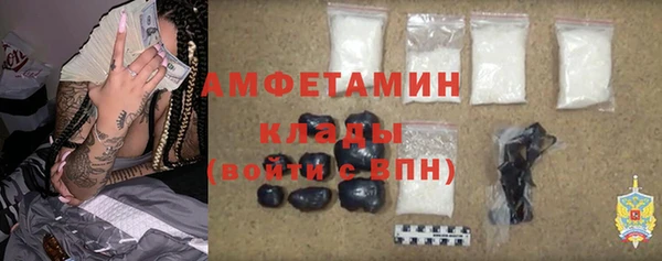 ГАЛЛЮЦИНОГЕННЫЕ ГРИБЫ Бородино